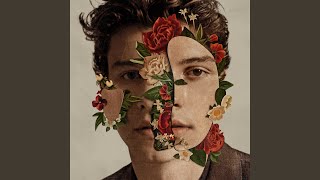 Shawn Mendes - Why (Audio)
