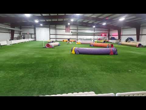 Storm novice tunnelers q 10/23/2016