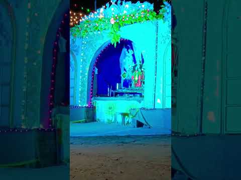 Narmada flowers and events