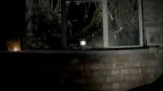 Me &amp; The Minibar