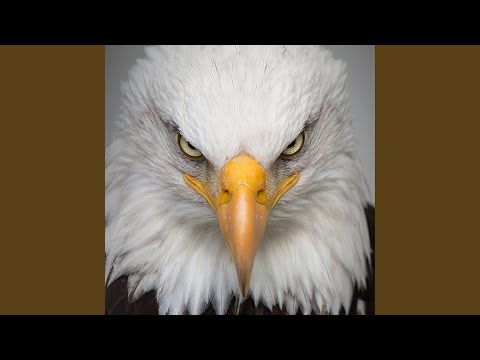 Su Na Arrit (feat. Loco)