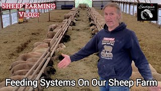 Innovative Ways To Feed Your Flock: Sheep Feeding Tips And Techniques