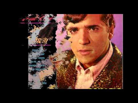 Não Quero Mais Amar (I` ve got sand in my shoes) - Jerry Adriani