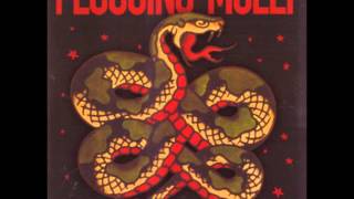 Flogging Molly - A Prayer for Me In Silence (Acustic)