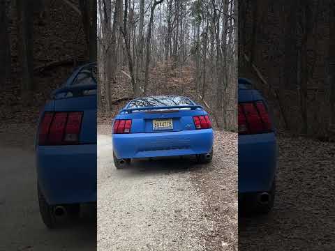 2003 V6 Mustang, dual catless flowmaster 40’s