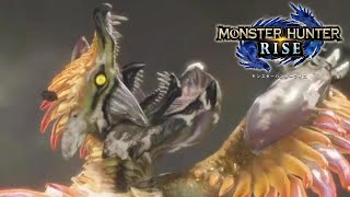 【モンスターハンターライズ】ナルハタタヒメ周回　しっぽ斬らせてもらいます！【MONSTER HUNTER RISE】