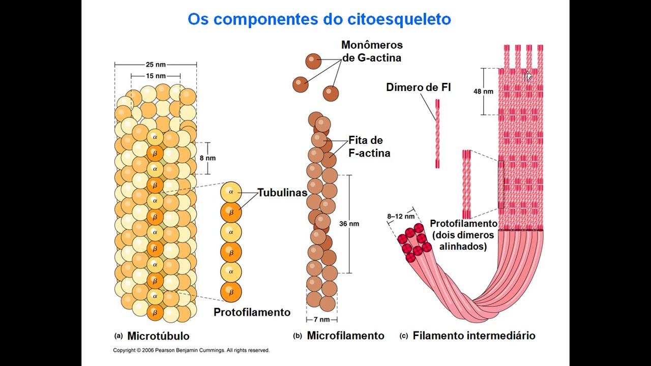 Aula 3 - Doença de Alzheimer Parte 1