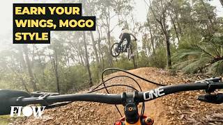 Mogo, NSW Trail Previews | Big Dog's Bone