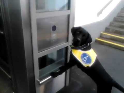 Basima holt den Aufzug