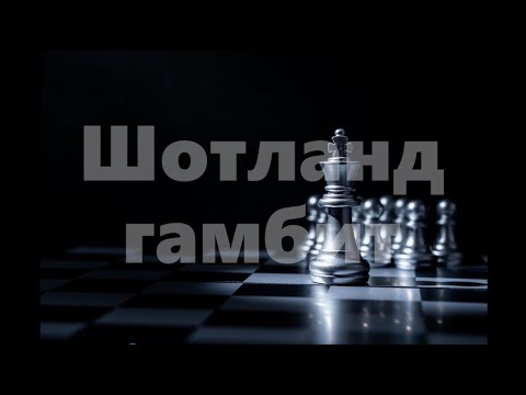 Шатрын тухай#10- Шотланд гамбит (Scotch gambit)
