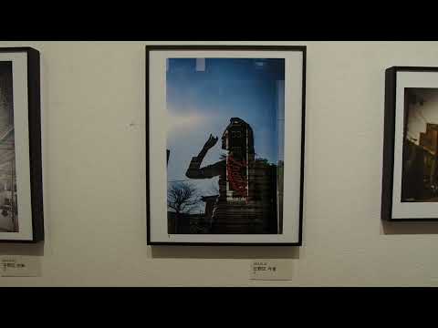 mur-végétal-jardin-vertical-terrasse-bois