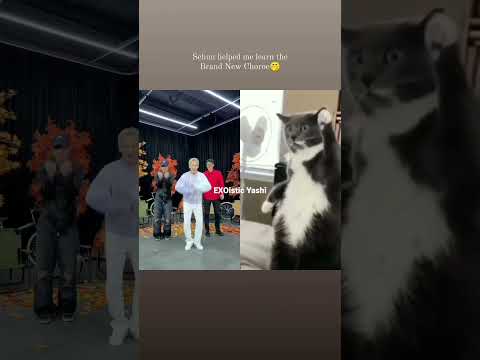 learn brand new choroe wth sehun🤣🙂#sehun #xiumin #kai #exo #xiumin #chanyeol #xiumin #baekhyun #exo