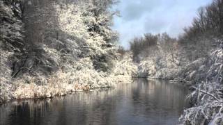 Swimming - In Dulci Jubilo