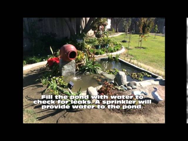 How to Build a Small Fish Pond in your Backyard