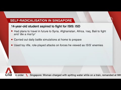 14-year-old Singaporean boy who simulated ISIS attacks on Roblox issued ISA restriction order