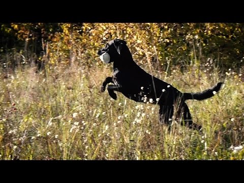 Freiverlorensuche Erste Schritte