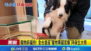 NEWS獨家│寵物祈福夯! 全台首座"寵物專屬宮廟"拜保生大帝 擲筊.求籤.點燈樣樣來! │記者 林芹瑜 高貫軒 陳心慈│台灣要聞20260116│三立iNEWS