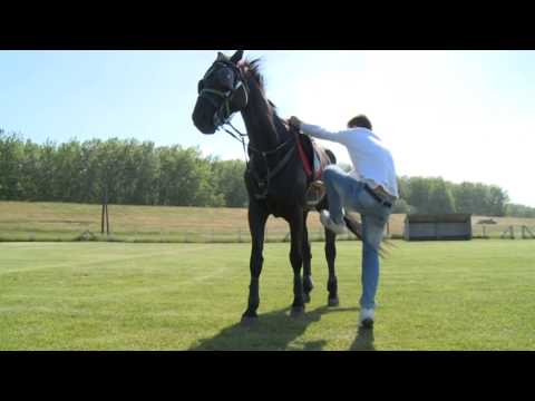 2015 05 13 Csinibabával indul Gulyás Viktor a vágtán