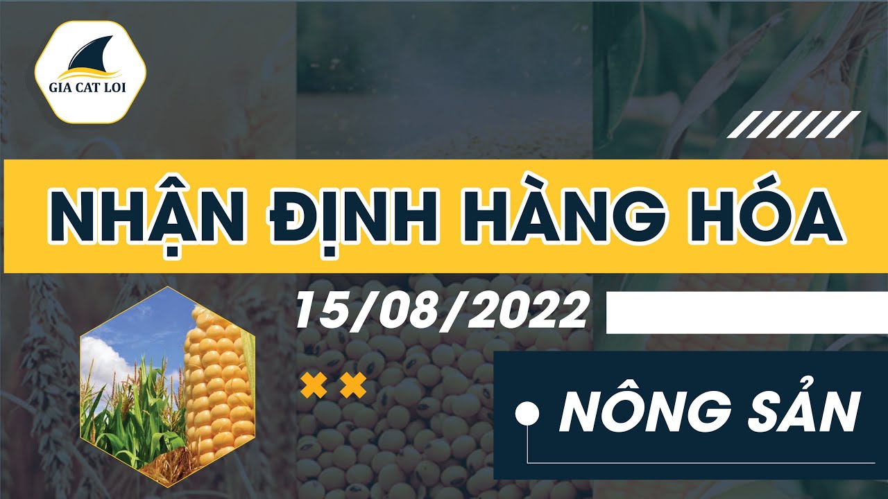 Nhận Định Thị Trường Nông Sản Ngày 15/08/2022