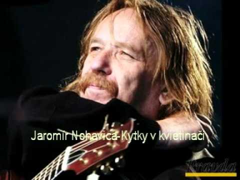 Jaromír Nohavica-Kytky v kvetinači