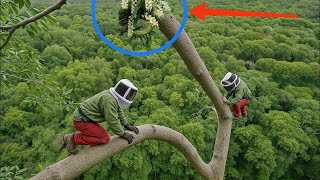 Risking his life climbing a 200 meter high tree to harvest precious flowers