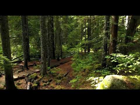 video thumnail