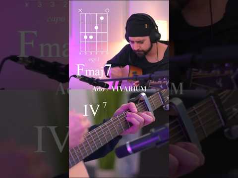Vivarium - Ado