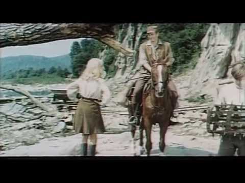 Wilcze Echa- Szczecin