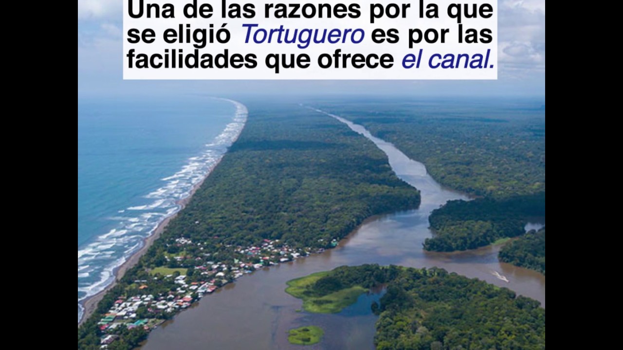 tortuguero desarroll