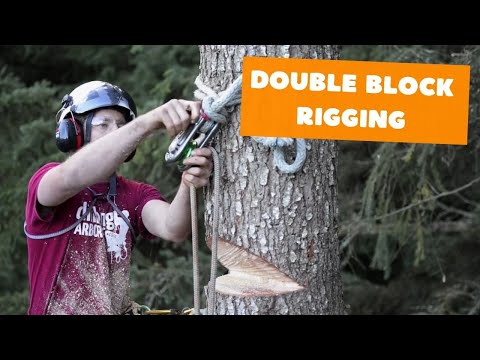Double block rigging | Tree rigging systems