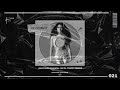 Nicki Minaj - Anaconda (Vandal On Da Track Remix) (Restricted House Music 021)