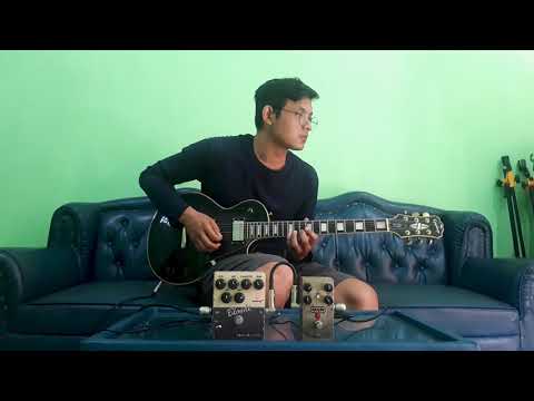 Tech 21 Sansamp Blonde, Mxr custom baddas modified OD