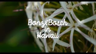 Kendama-Co Presents: Bonz & Bosch in Hawaii