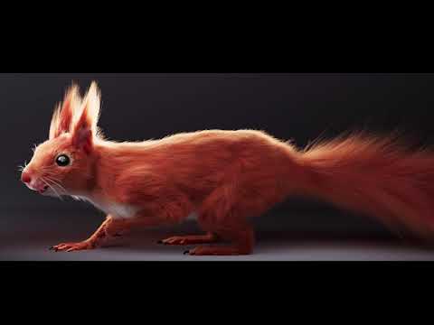 【中間課題】Squirrel