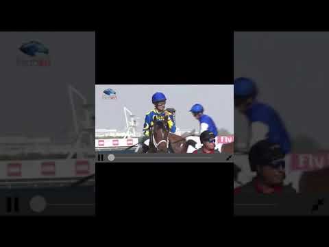 Dubai kahayla classic