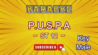 Download lagu Puspa - St 12 [Karaoke Pria] mp3