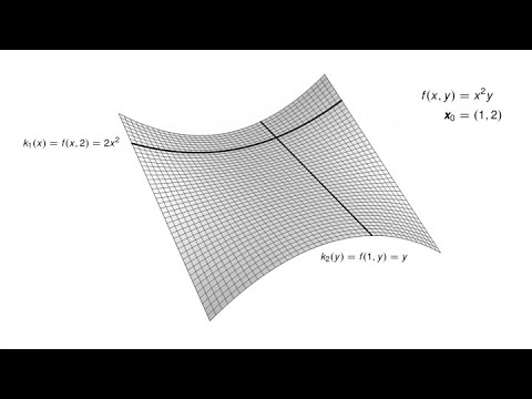 Was sind partielle Ableitungen?