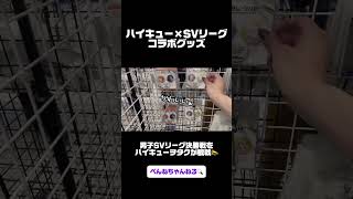 ハイキュー×SVリーグのグッズを購入！！！本編では購入品紹介も🙆‍♀️ #推し活 #vlog #ハイキュー #svリーグ #ハイキューグッズ #宮侑