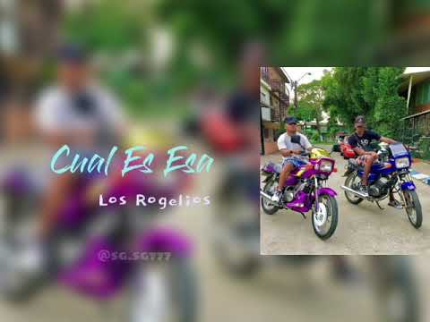 Cual Es Esa🤨 | Los Rogelios (Letra)