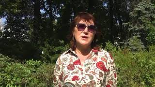 Как ухаживать за голубикой осенью