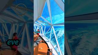 Icon of the Seas – The World’s Biggest Luxury Cruise Ship 🚢💎 #usashorts #sea #usa