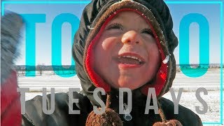 Nominate the BEST SMALL HOMESTEAD YOUTUBE CHANNELS