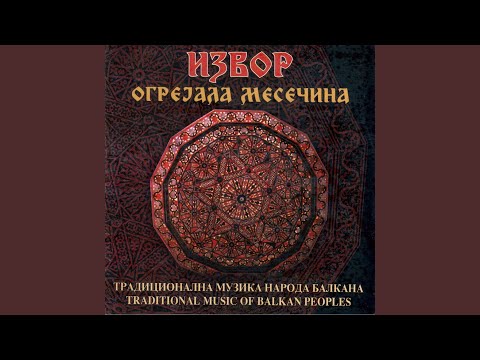 Svu noc mi bilbil prepeva