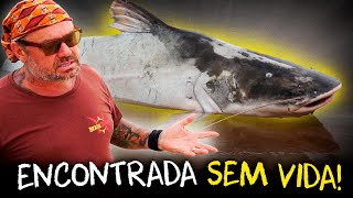Miniatura do vídeo