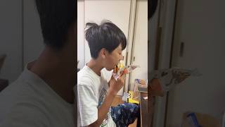 期間限定マクドの新作ハンバーガーを食べた！