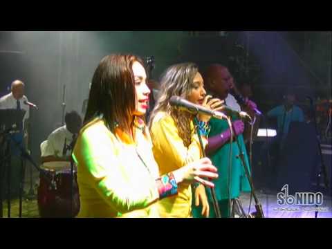 Juan Piña La Canillona en vivo