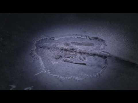 Welterbestätten in der Schweiz: Monte San Giorgio