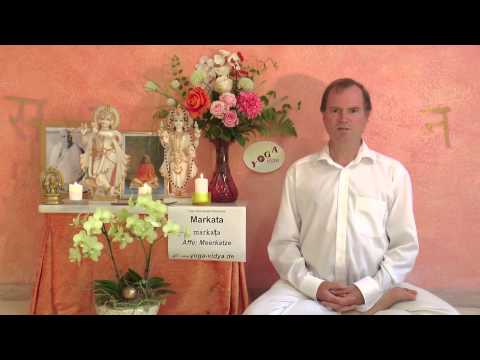 Markata – Affe, Meerkatze - Sanskrit Wörterbuch