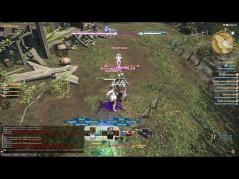 Archer Class Quest - Level 20