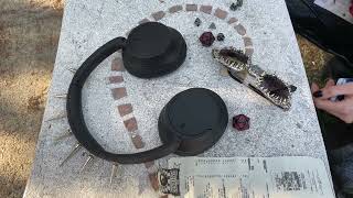 Permeabili alla luce. Daniele